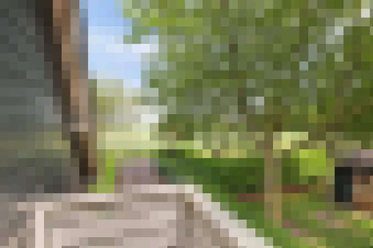 Zandwekken 3 Serooskerke thumbnail 54