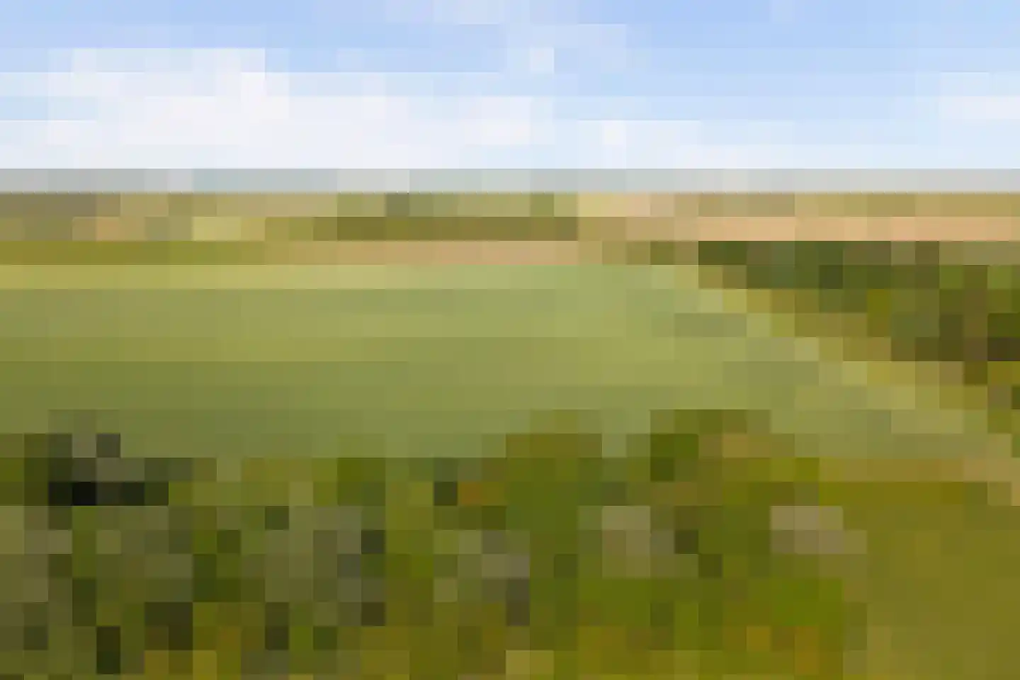 Zandwekken 3 Serooskerke thumbnail 56