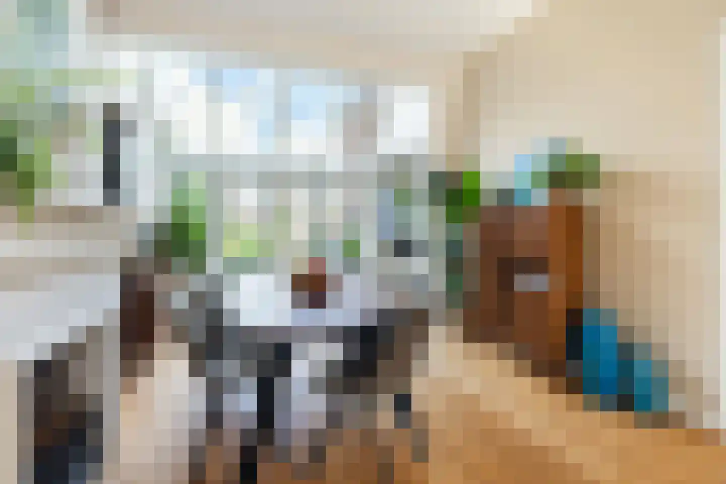 Zandwijksingel 3 Woerden thumbnail 16