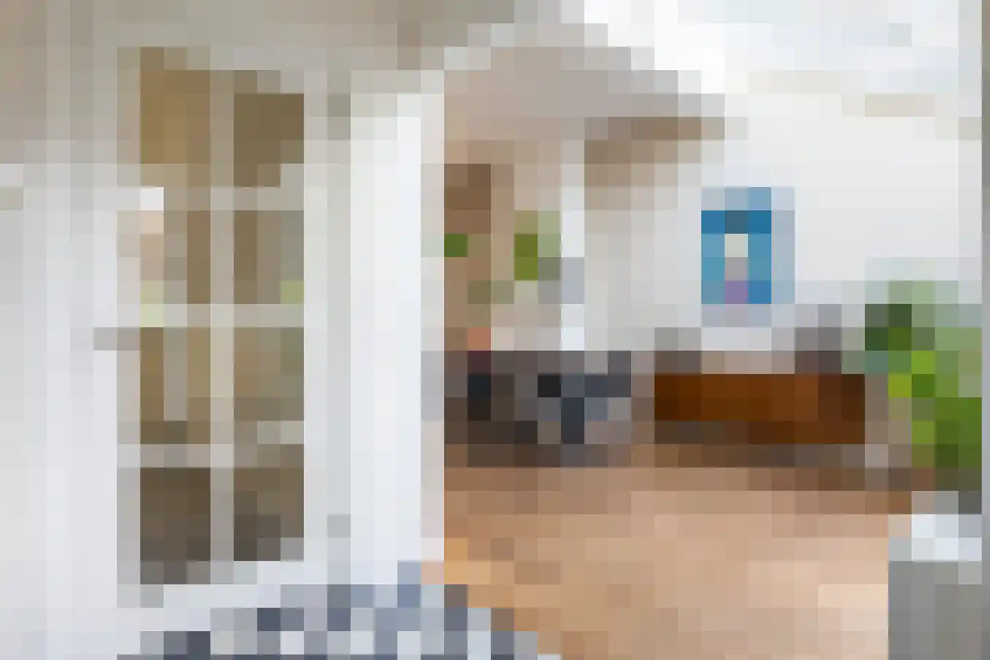 Zandwijksingel 3 Woerden thumbnail 17