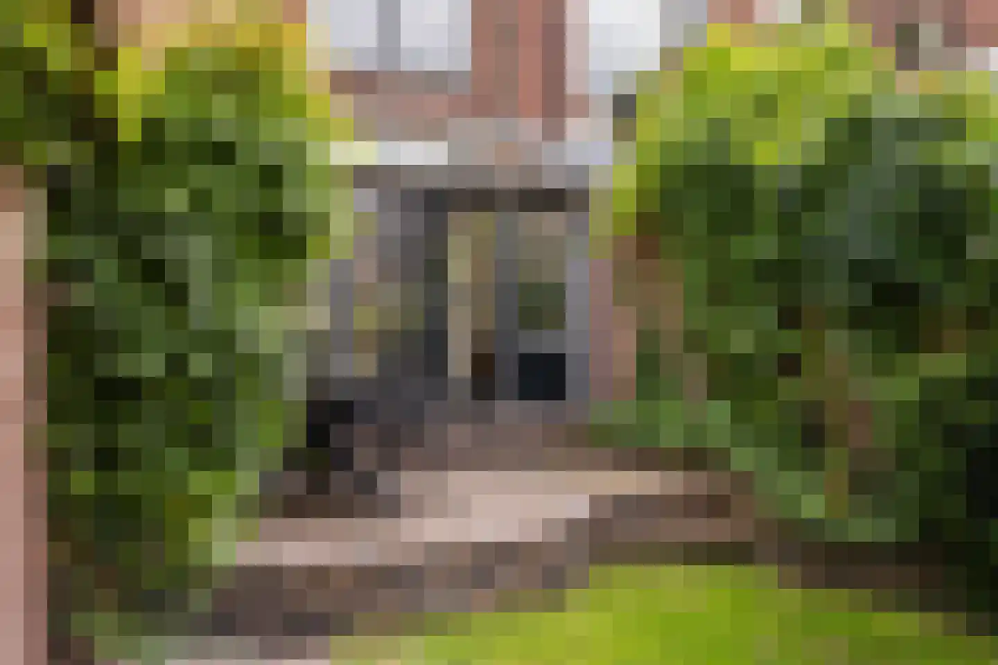 Zandwijksingel 3 Woerden thumbnail 19