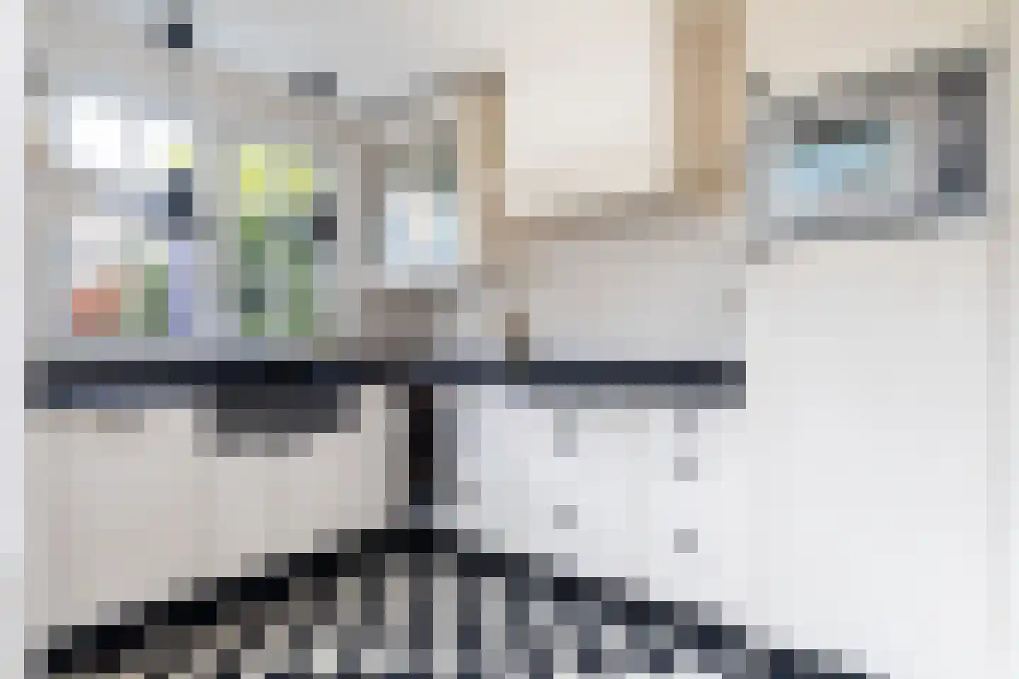 Zandwijksingel 3 Woerden thumbnail 22