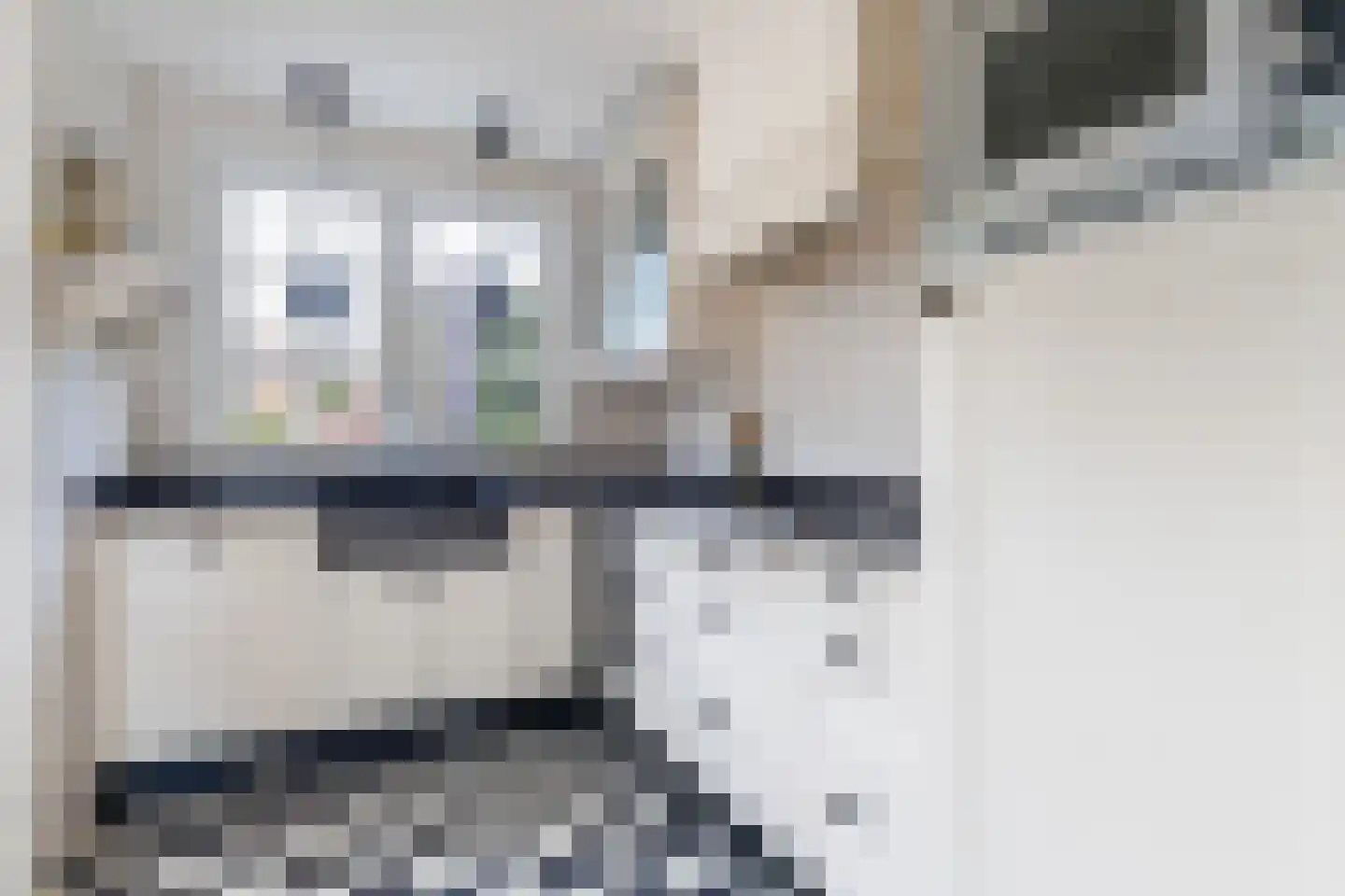 Zandwijksingel 3 Woerden thumbnail 23