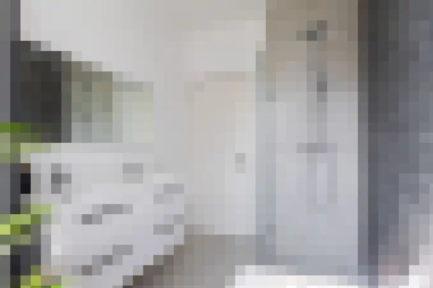 Zandwijksingel 3 Woerden thumbnail 34