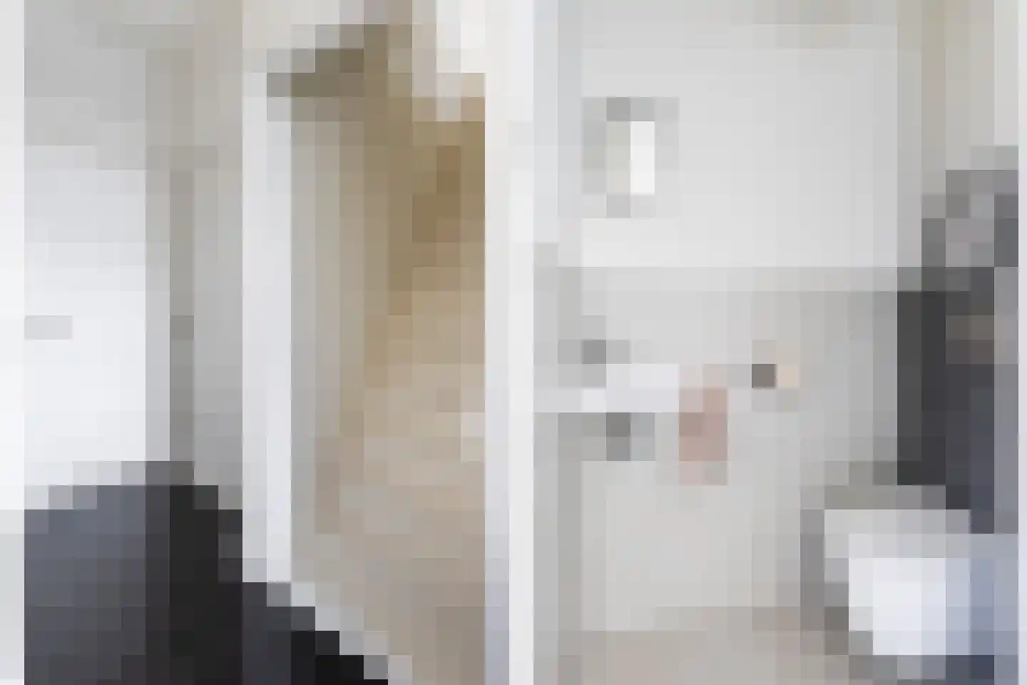 Zandwijksingel 3 Woerden thumbnail 35