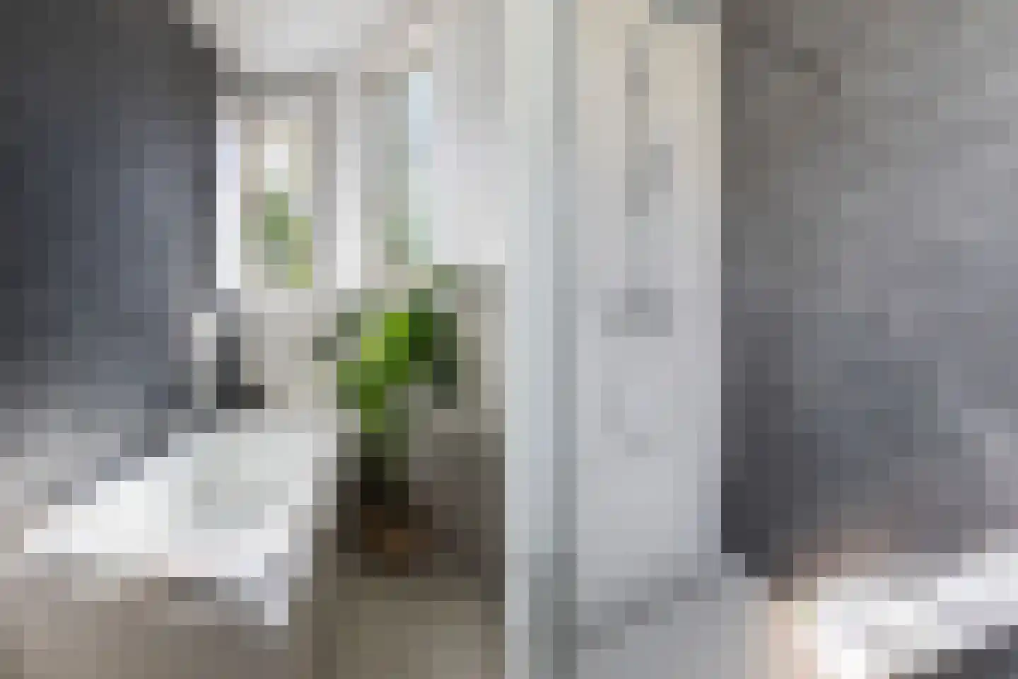 Zandwijksingel 3 Woerden thumbnail 36