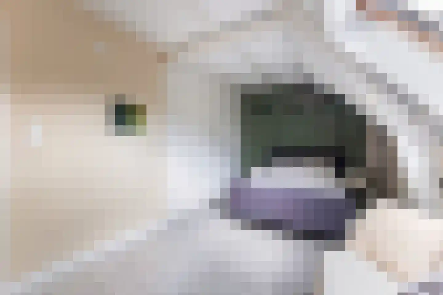 Zandwijksingel 3 Woerden thumbnail 42
