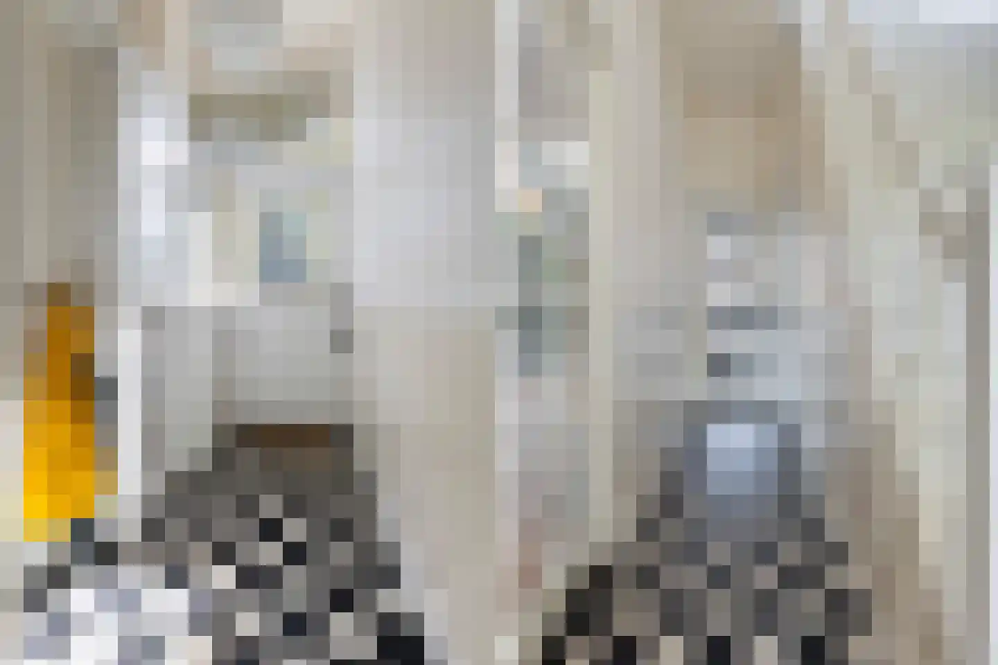 Zandwijksingel 3 Woerden thumbnail 6