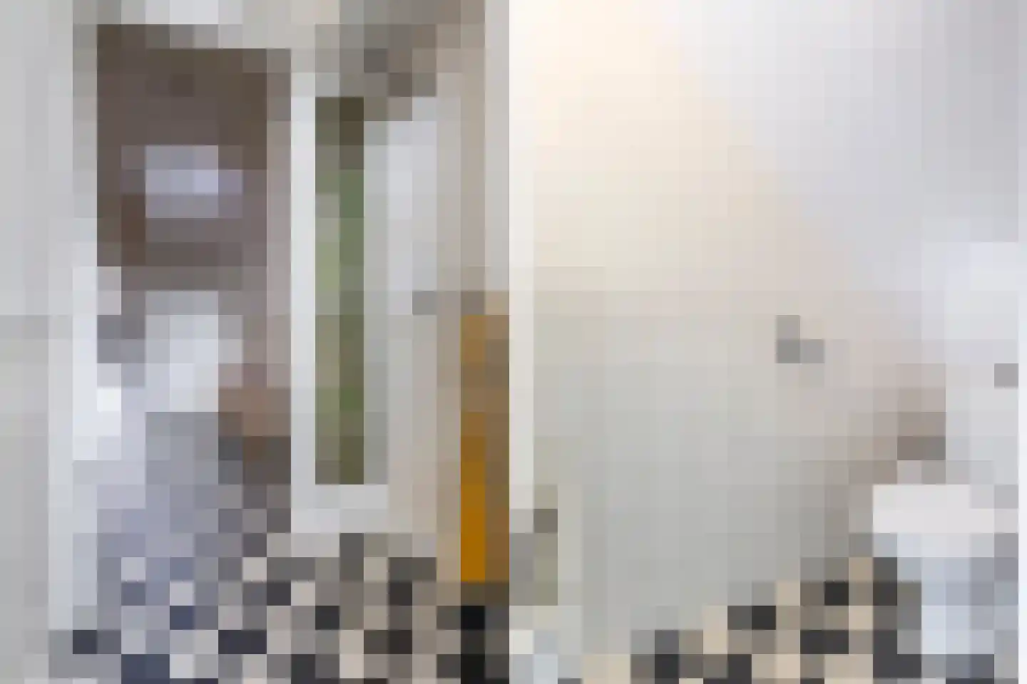 Zandwijksingel 3 Woerden thumbnail 7