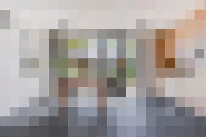 Zandzegge 63 Eindhoven thumbnail 12