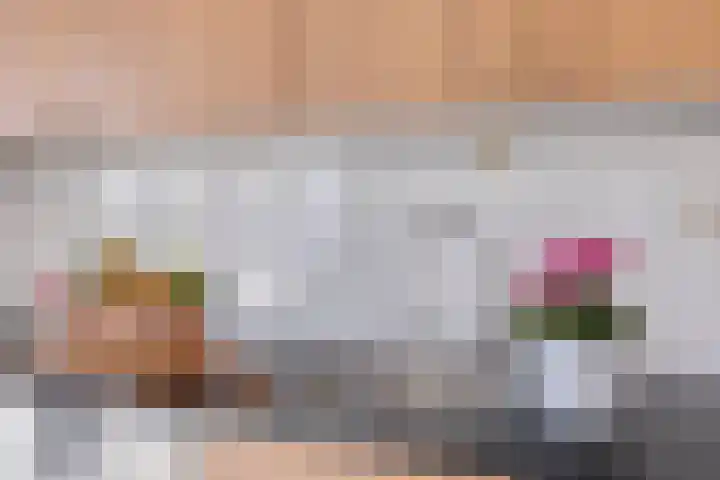 Zandzegge 63 Eindhoven thumbnail 14