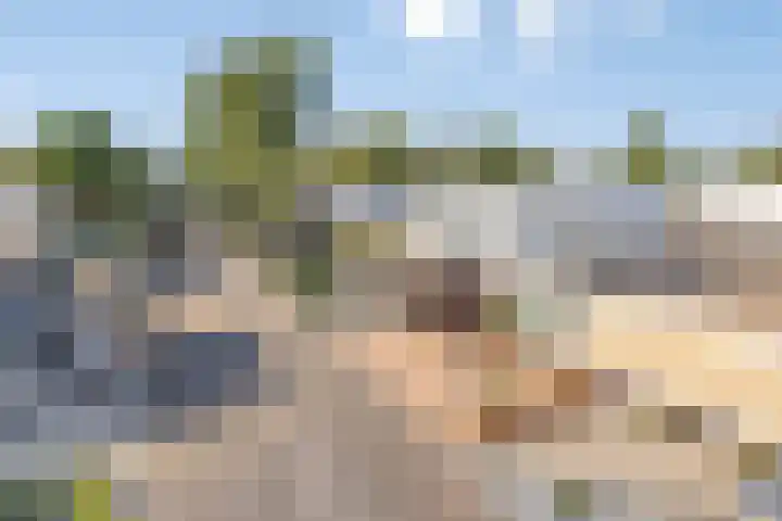 Zandzegge 63 Eindhoven thumbnail 33