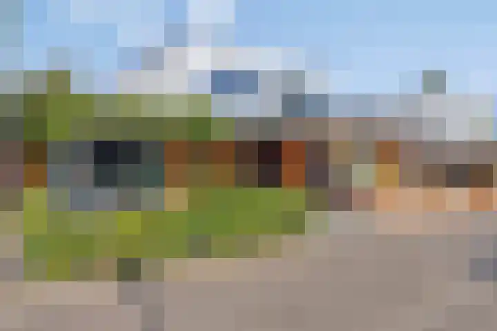 Zandzegge 63 Eindhoven thumbnail 40