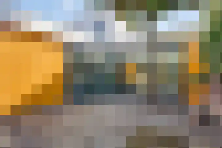 Zandzegge 63 Eindhoven thumbnail 6