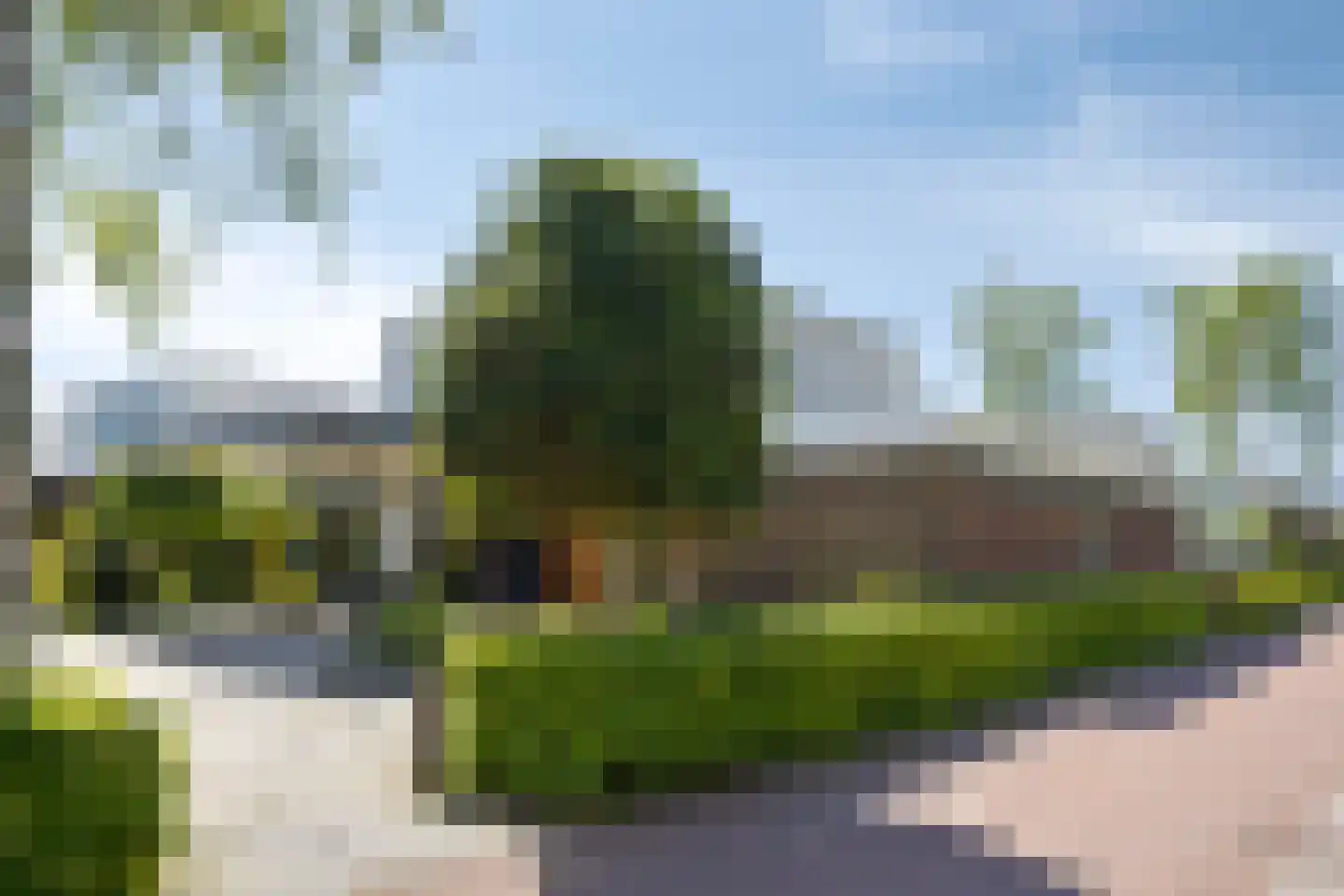 Zandzegge 81 Eindhoven thumbnail 33