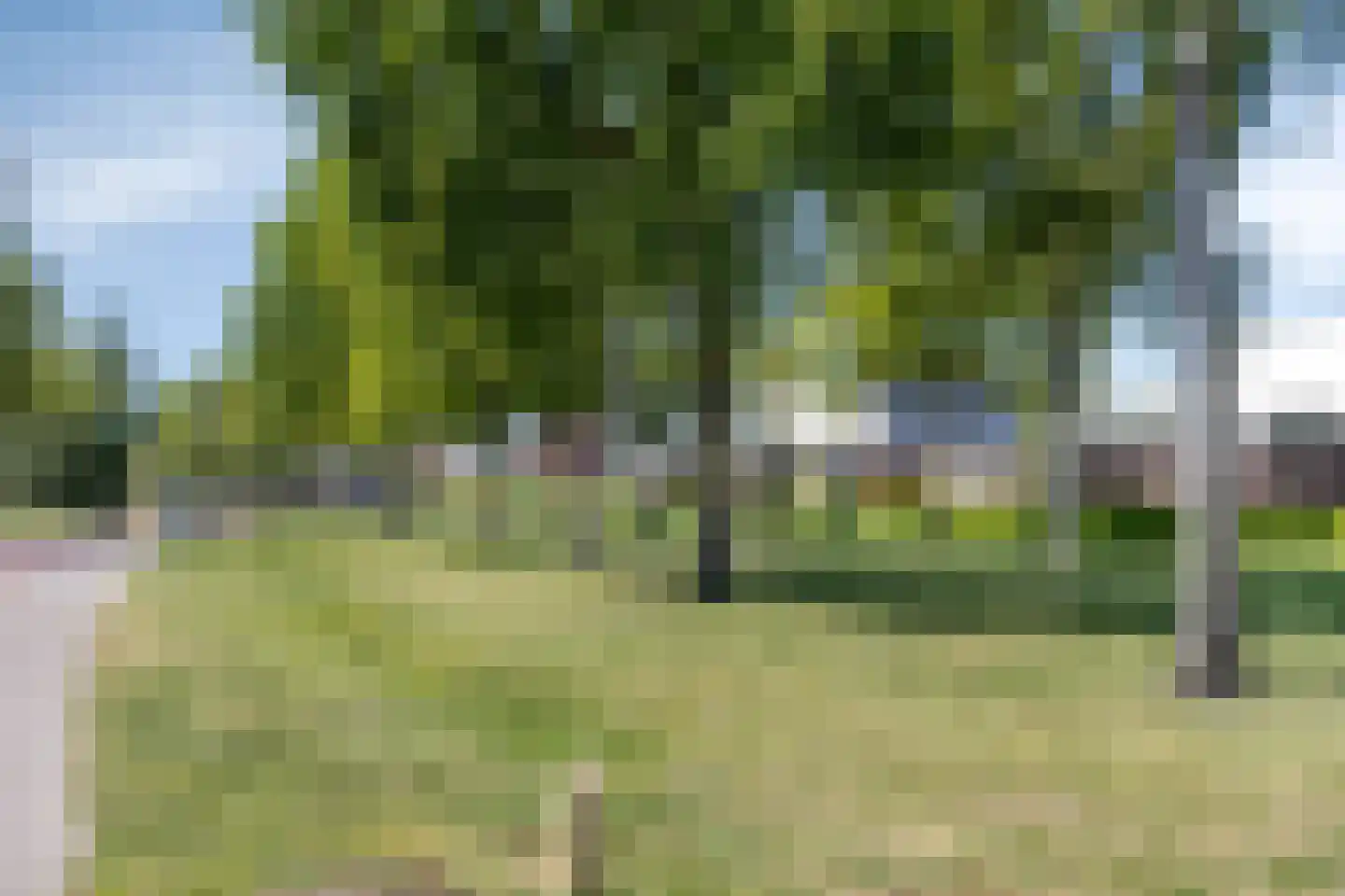 Zandzegge 81 Eindhoven thumbnail 34