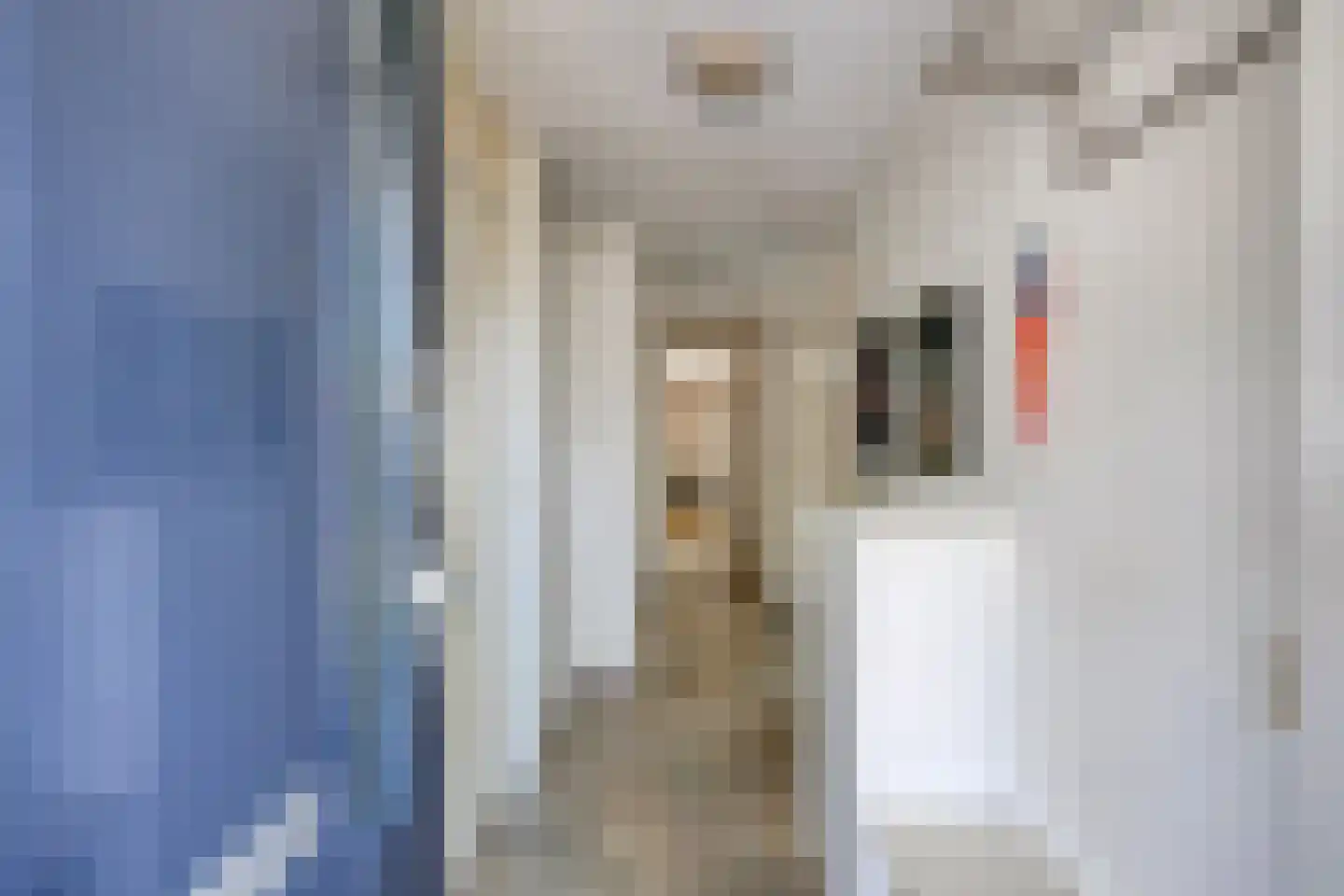 Zandzegge 81 Eindhoven thumbnail 9