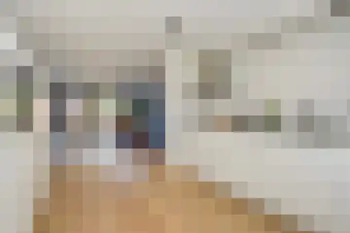 Zandzeggelaan 137 Den Haag thumbnail 13
