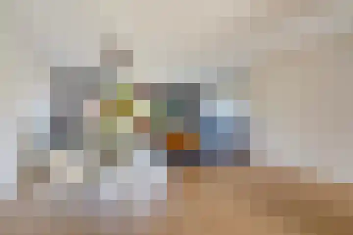 Zandzeggelaan 137 Den Haag thumbnail 14