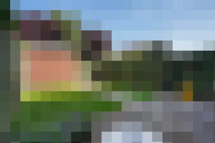 Zandzeggelaan 137 Den Haag thumbnail 19