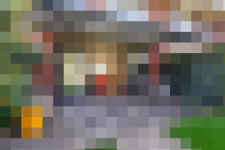Zandzeggelaan 137 Den Haag thumbnail 20