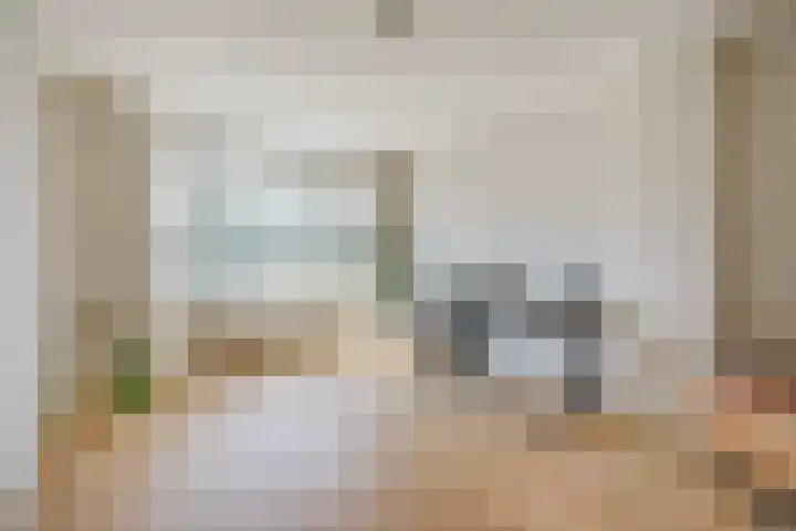 Zandzeggelaan 137 Den Haag thumbnail 22