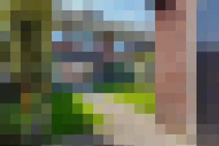 Zandzeggelaan 137 Den Haag thumbnail 4