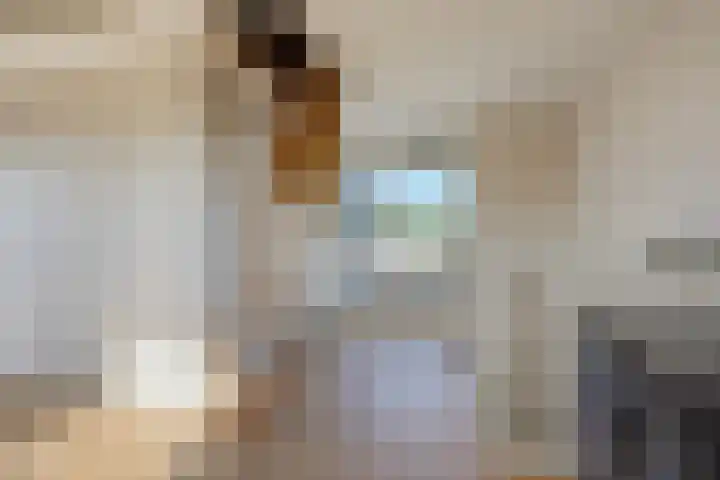 Zandzeggelaan 137 Den Haag thumbnail 43
