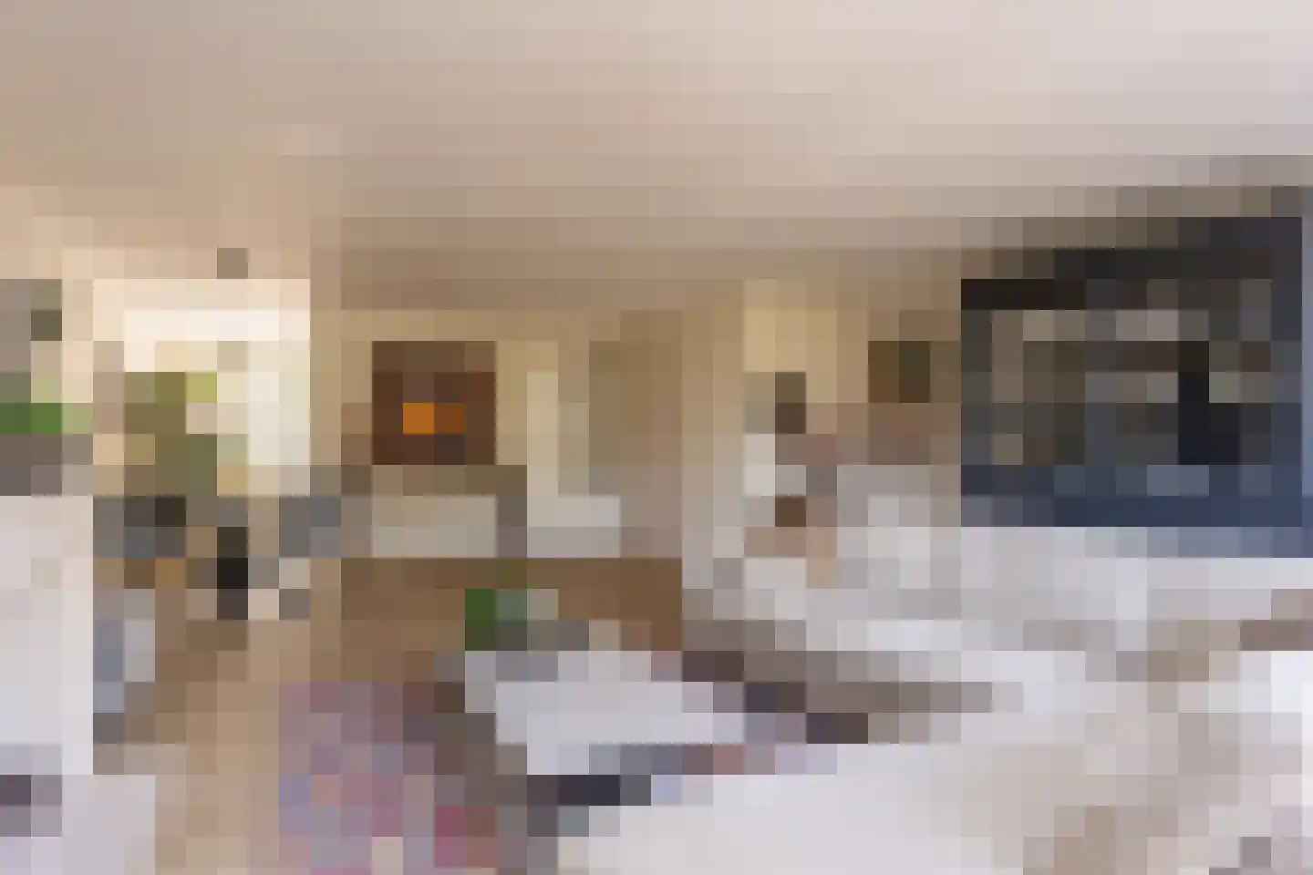 Zandzeggelaan 187 Den Haag thumbnail 15