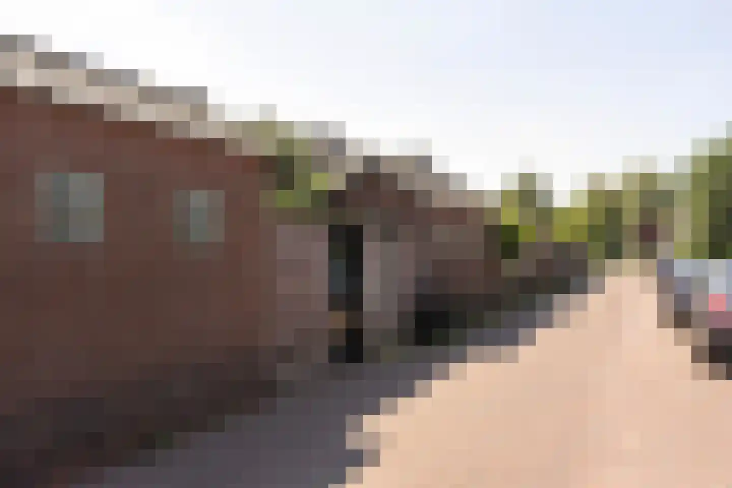 Zandzeggelaan 187 Den Haag thumbnail 33