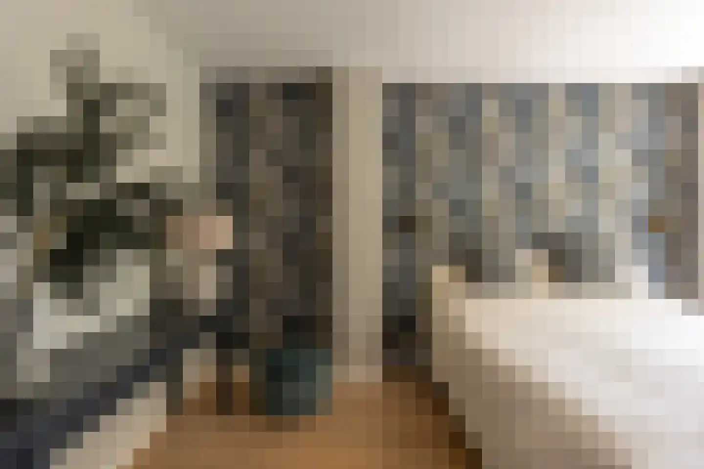 Zandzeggelaan 187 Den Haag thumbnail 43