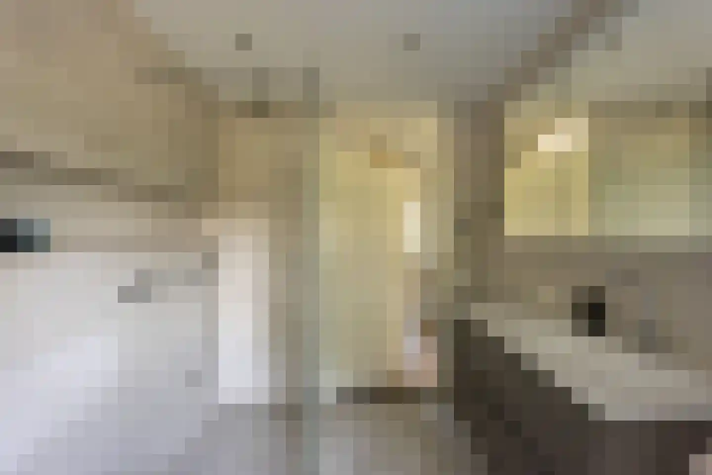 Zandzeggelaan 187 Den Haag thumbnail 48