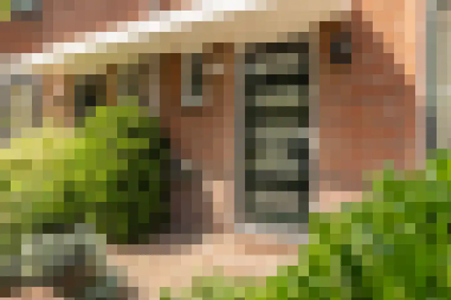 Zandzeggelaan 187 Den Haag thumbnail 59