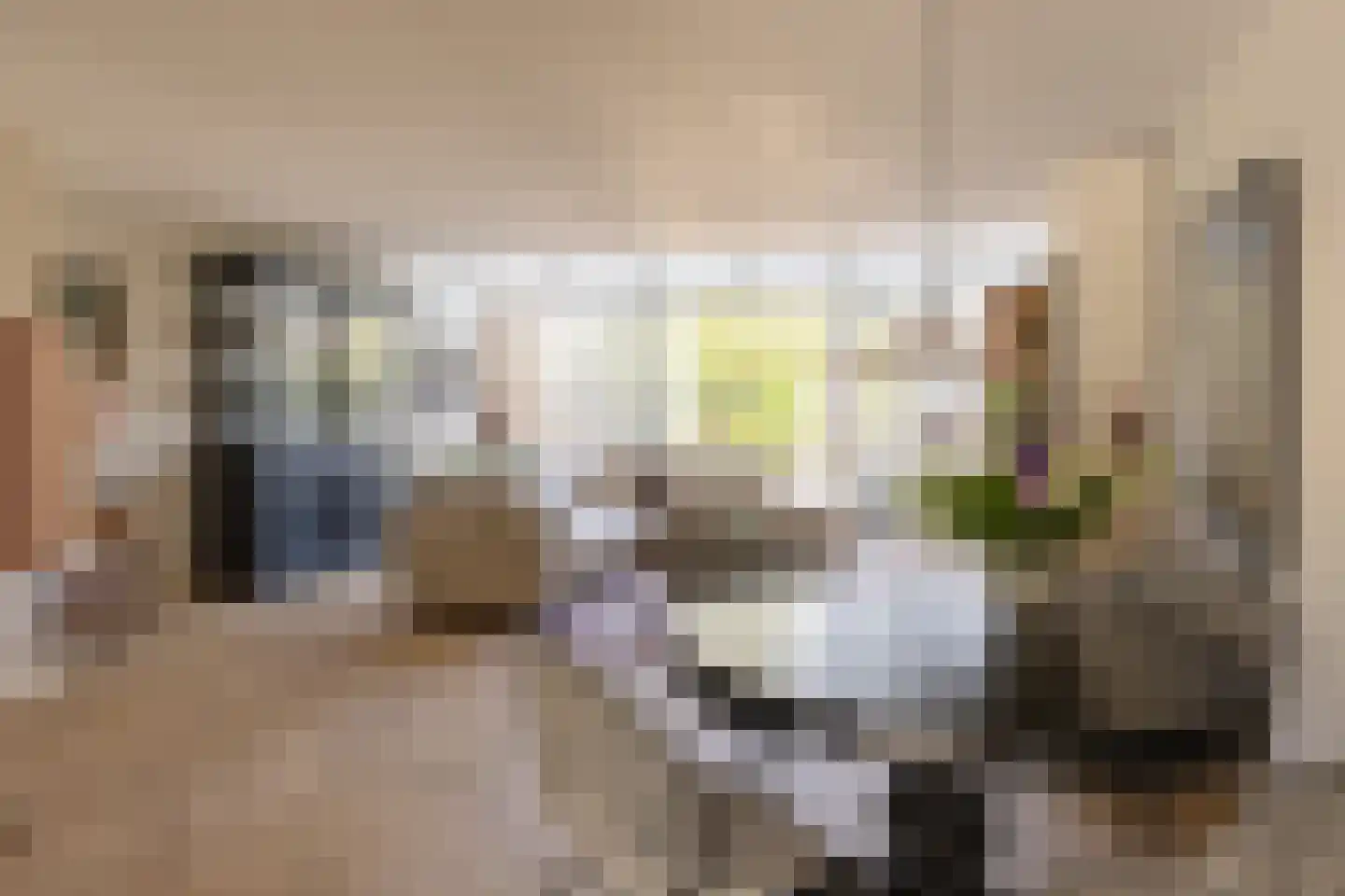 Zandzeggelaan 187 Den Haag thumbnail 9