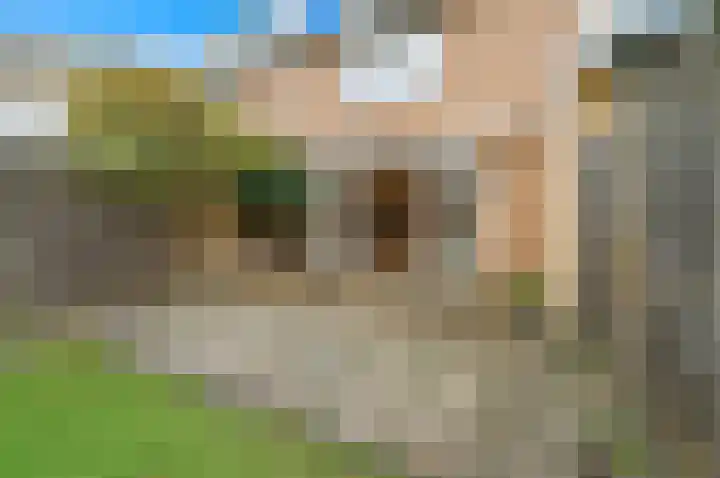 Zandzeggelaan 23 Den Haag thumbnail 10