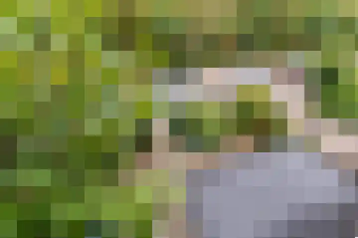 Zandzeggelaan 23 Den Haag thumbnail 43
