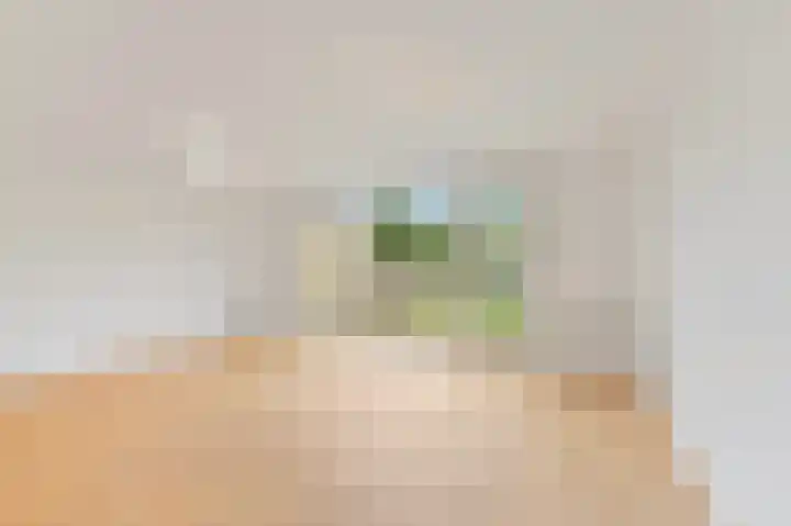 Zandzeggelaan 23 Den Haag thumbnail 5