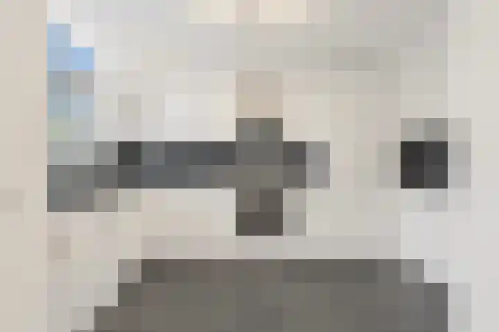 Zandzeggelaan 23 Den Haag thumbnail 6
