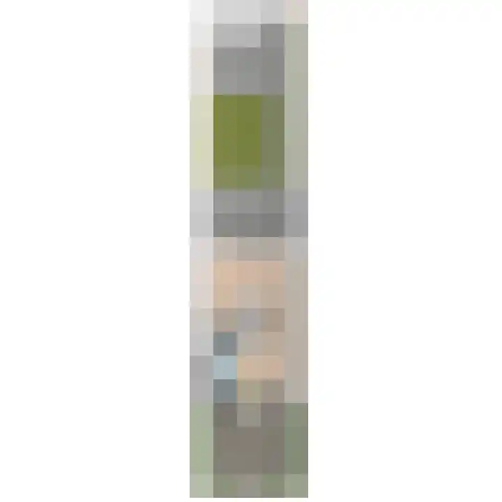 Zandzeggelaan 23 Den Haag thumbnail 71