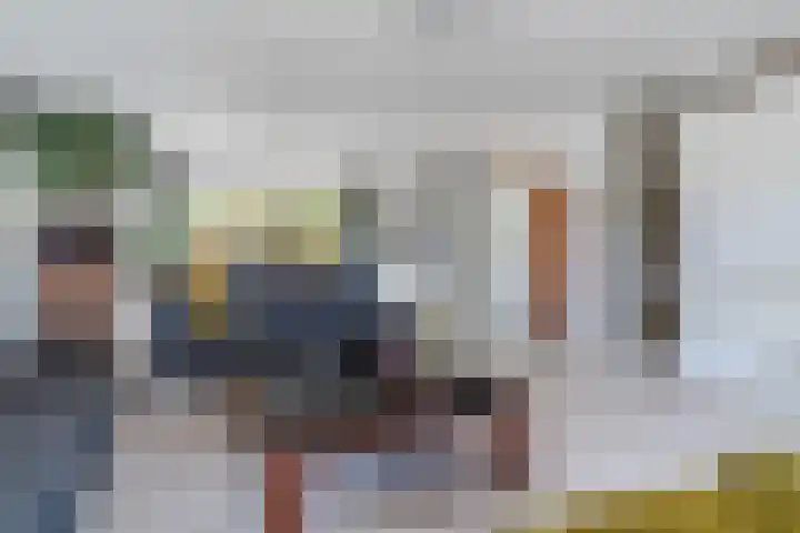 Zandzwaluw 24 Eindhoven thumbnail 12