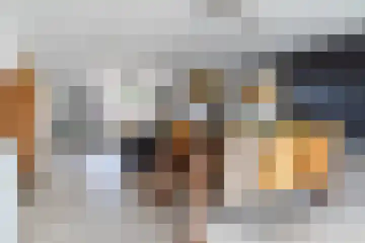 Zandzwaluw 24 Eindhoven thumbnail 15