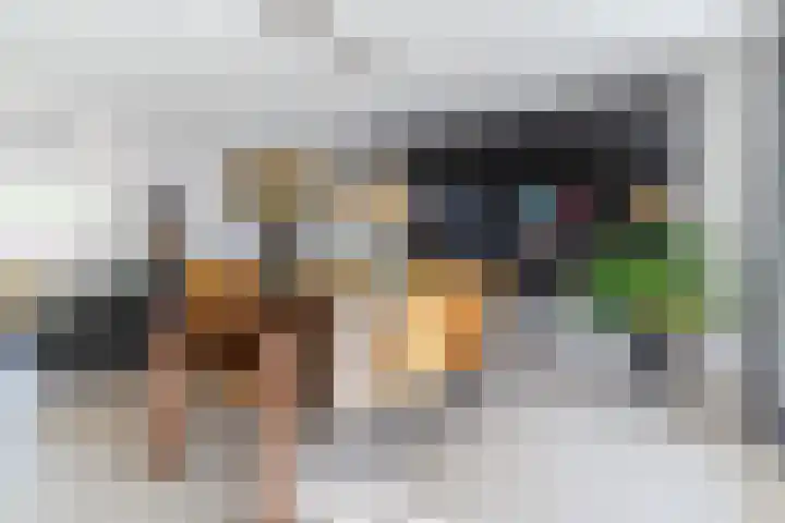 Zandzwaluw 24 Eindhoven thumbnail 16