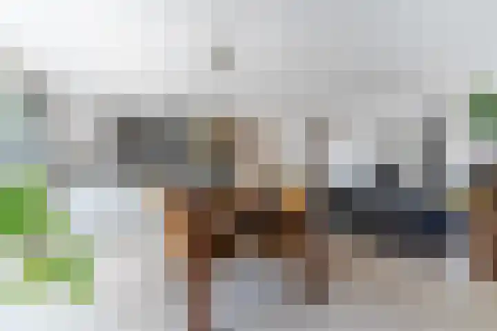 Zandzwaluw 24 Eindhoven thumbnail 18