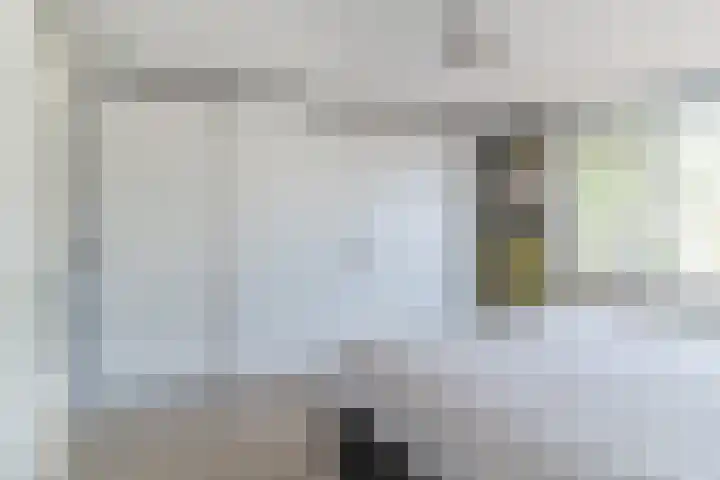 Zandzwaluw 24 Eindhoven thumbnail 22