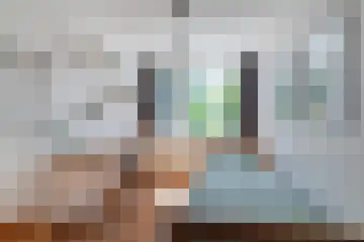 Zandzwaluw 24 Eindhoven thumbnail 24