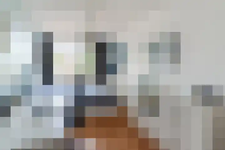 Zandzwaluw 24 Eindhoven thumbnail 27