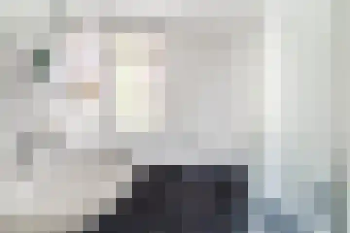 Zandzwaluw 24 Eindhoven thumbnail 32