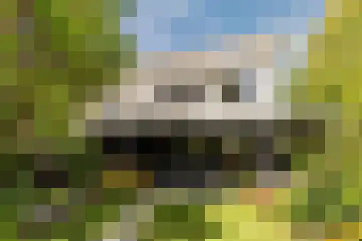 Zandzwaluw 24 Eindhoven thumbnail 4