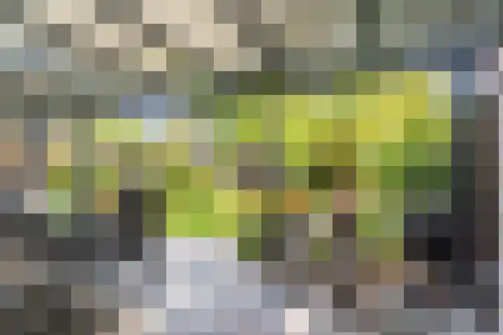 Zandzwaluw 24 Eindhoven thumbnail 44