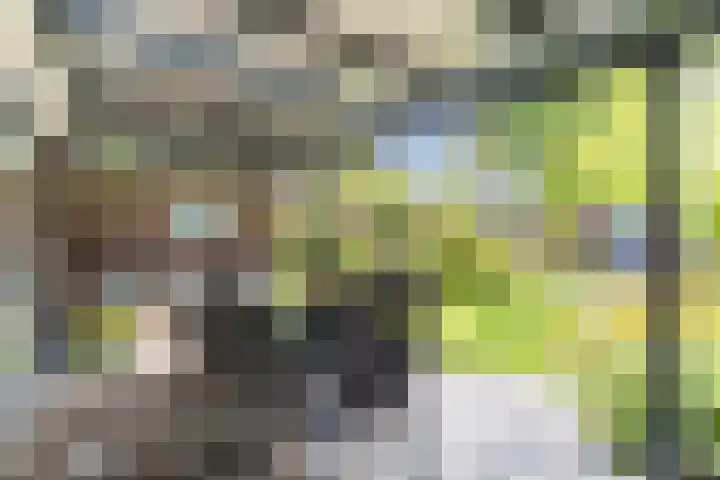 Zandzwaluw 24 Eindhoven thumbnail 45
